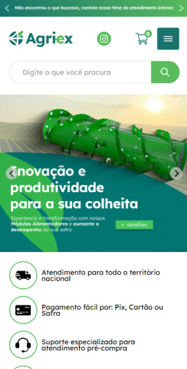 Case de desevolvimento de sites, lojas virtuais e landing pages em Bauru